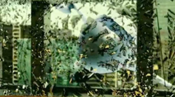 September 11 Air crash test